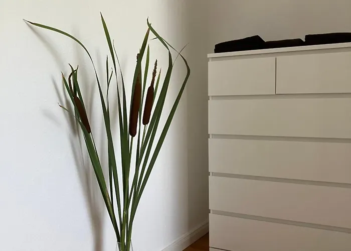 Wohnen Auf Zeit מלון דירות